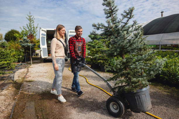 Best Storm Damage Tree Cleanup  in Decatur, MI