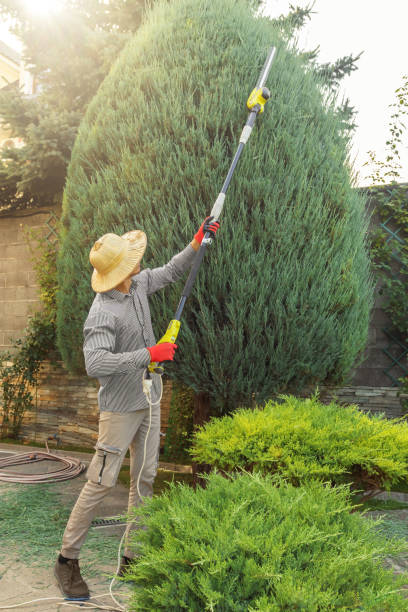 Best Commercial Tree Services  in Decatur, MI